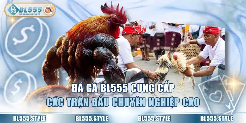 Đá gà BL555 cung cấp các trận đấu chuyên nghiệp cao