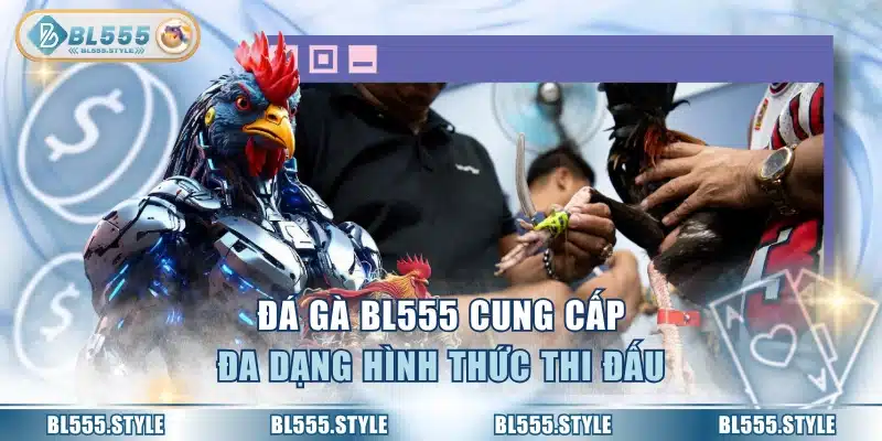 Đá gà BL555 cung cấp đa dạng hình thức thi đấu