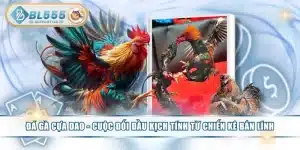 Đá Gà Cựa Dao - Cuộc Đối Đầu Kịch Tính Từ Chiến Kê Bản Lĩnh