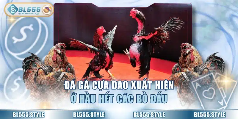 Đá gà cựa dao xuất hiện ở hầu hết các bồ đấu