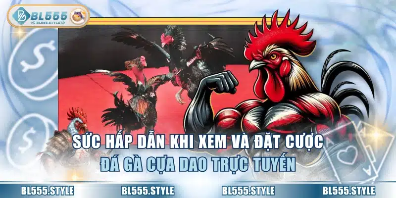 Sức hấp dẫn khi xem và đặt cược đá gà cựa dao trực tuyến